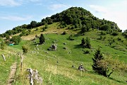 Al Monte Zucco (1232 m) da S. Antonio Abbandonato il 21 agosto 2018  - FOTOGALLERY